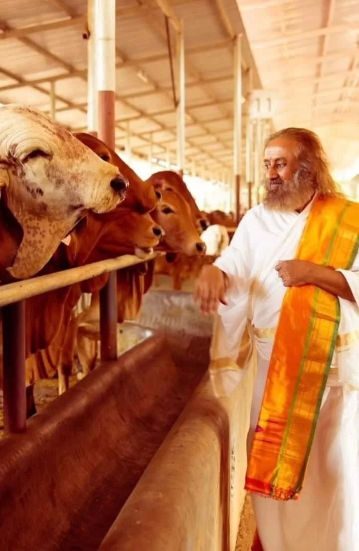 Gurudev Sri Sri Ravi Shankar's vision guides Sri Sri Gaushala