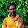 Krishna Pic
